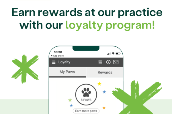 Loyalty program