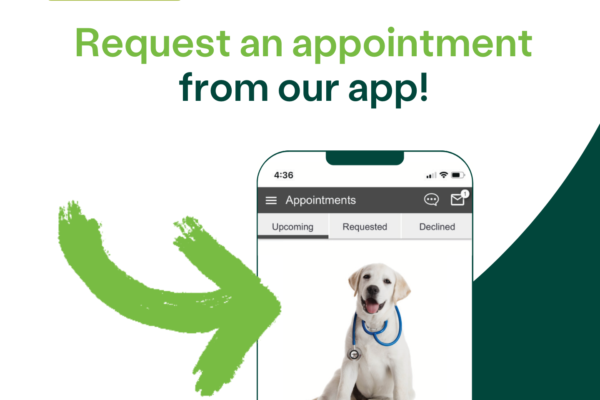 Request appointments